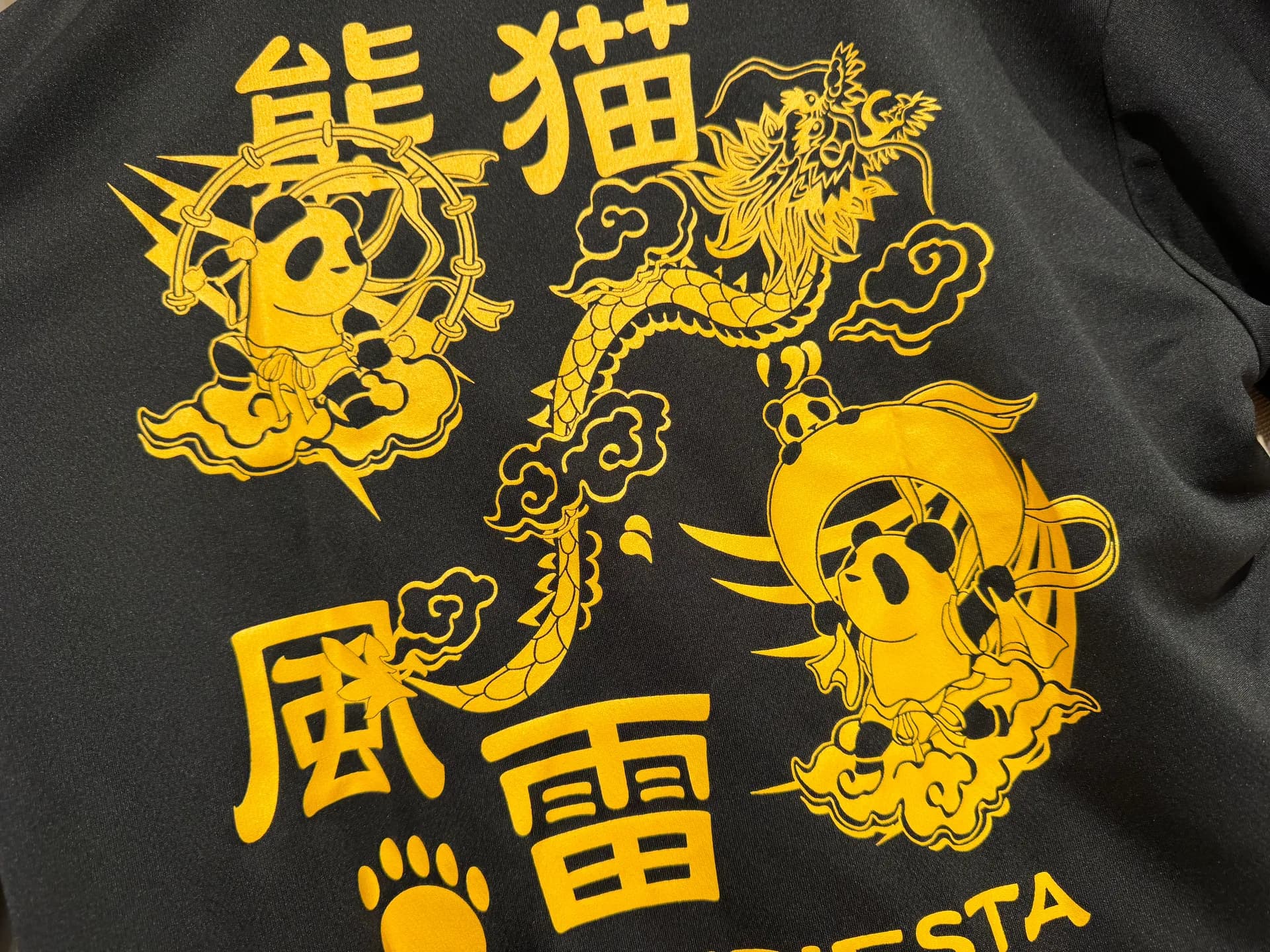 アーカイブモデル！パンディエスタドライT！