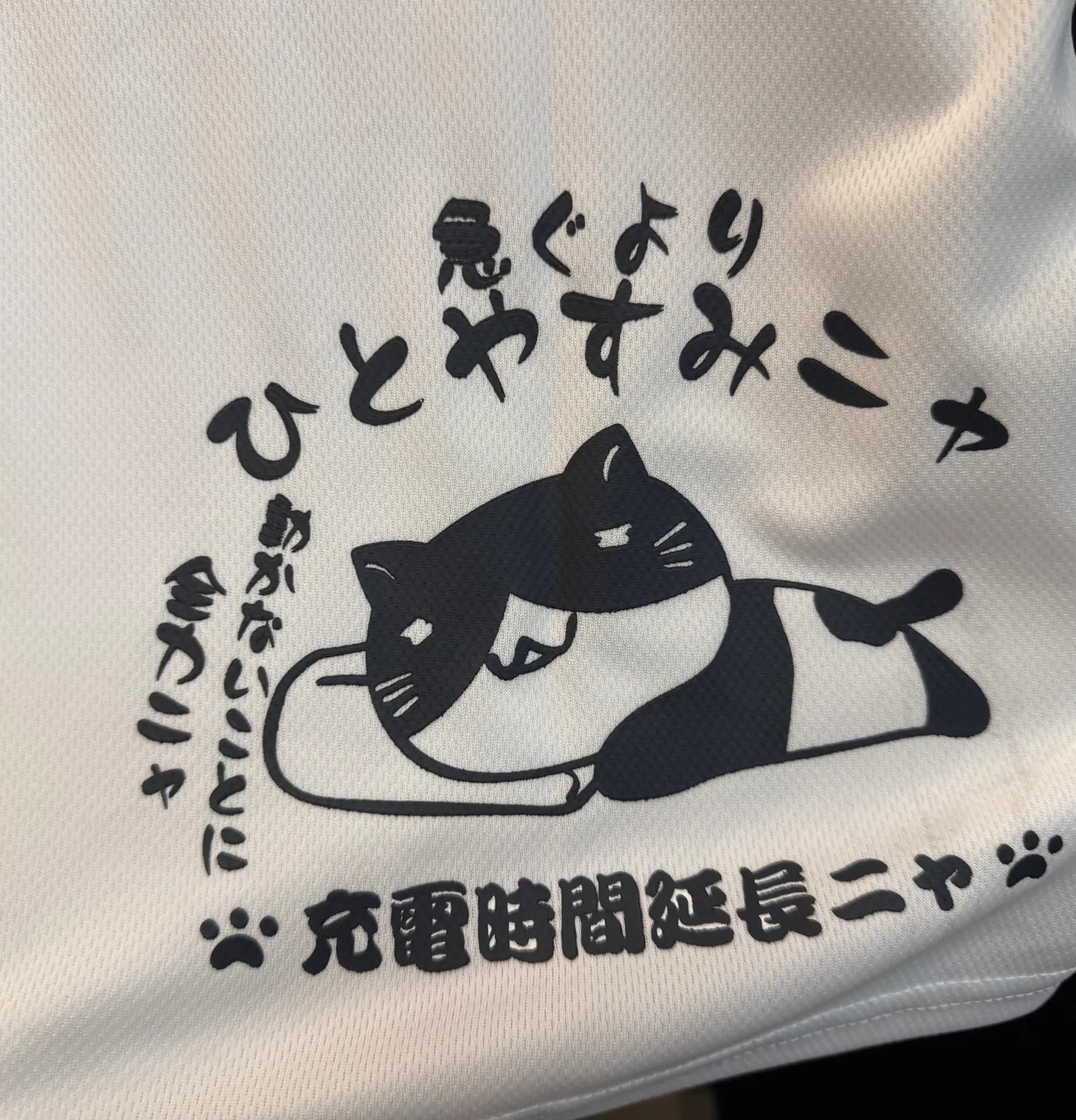 ねこぶちさん新作入荷✨️