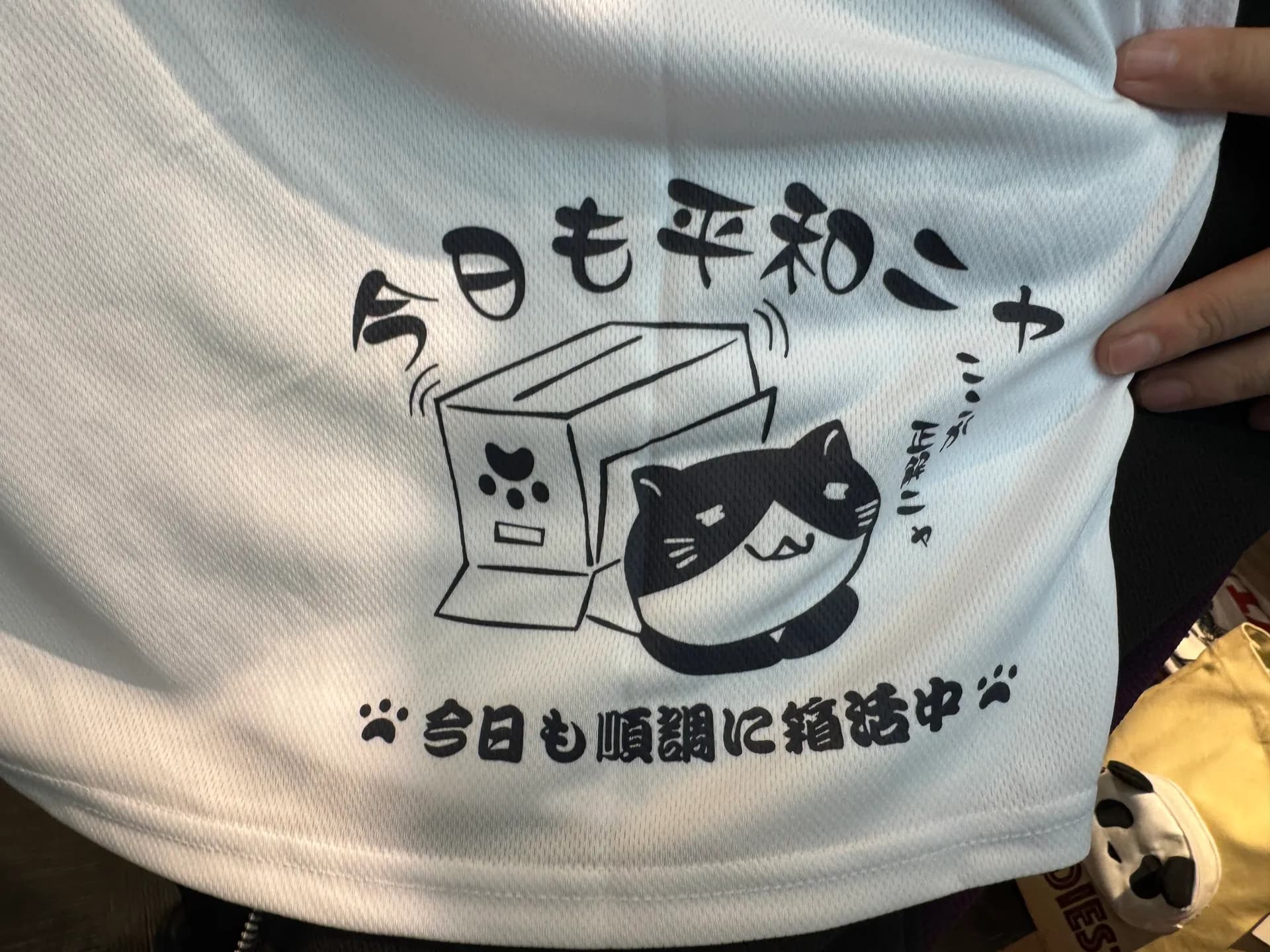 新作✨️ねこぶちさん🐱