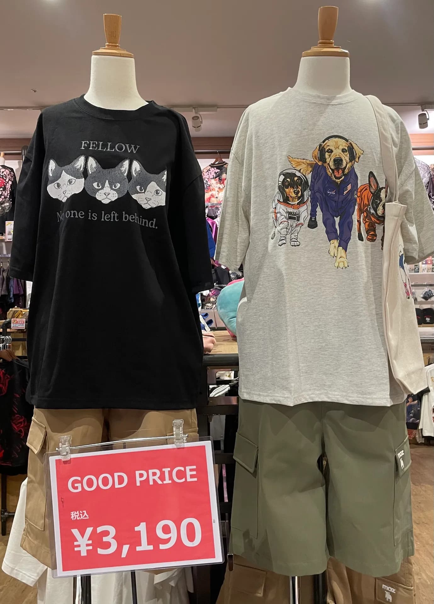 アニマルTシャツ‼️入荷しました‼️